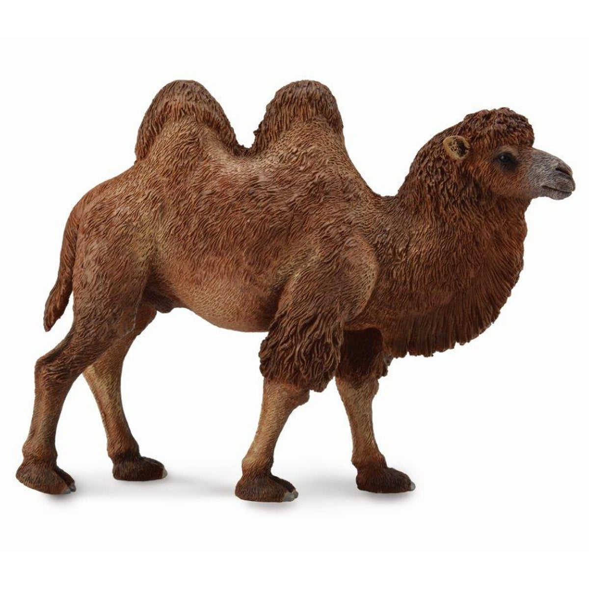 Collecta Bactrian Camel – Animal Kingdoms Toy Store