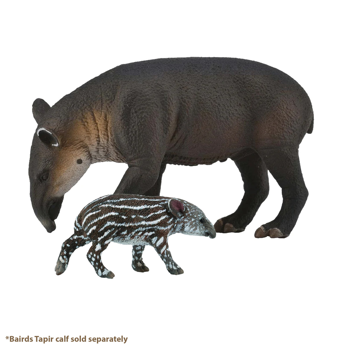 CollectA Bairds Tapir