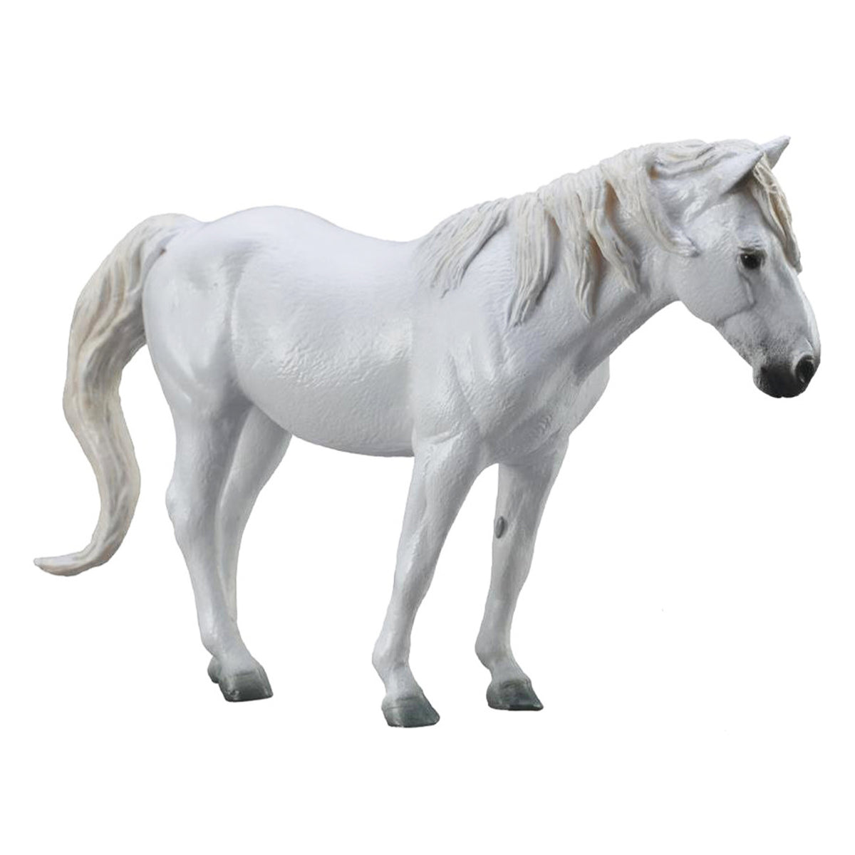 CollectA Camargue Grey