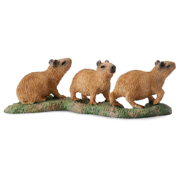 CollectA Capybara Babies