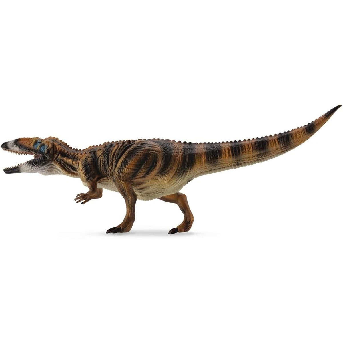 CollectA Carcharodontosaurus Deluxe Scale