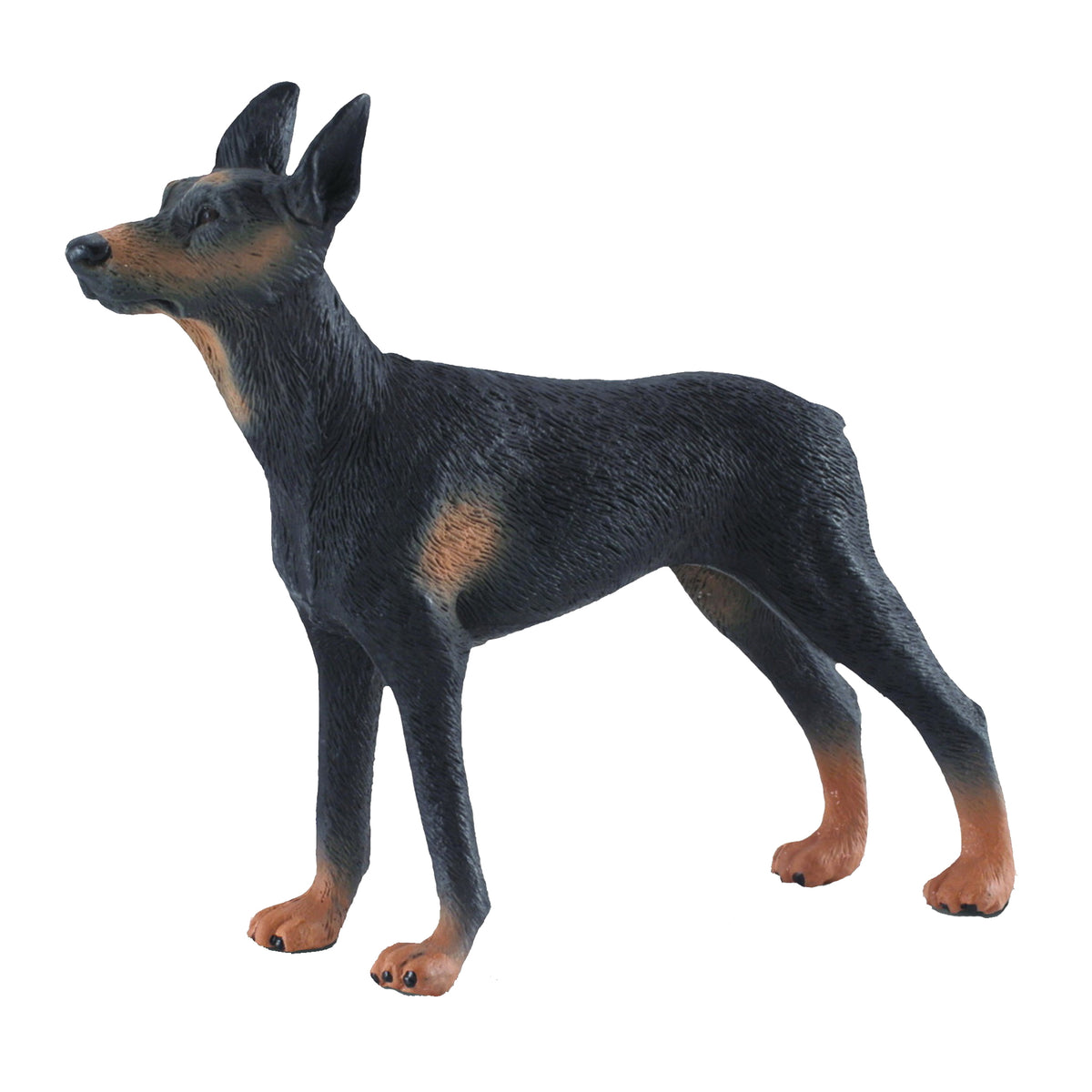 CollectA Doberman Pinscher