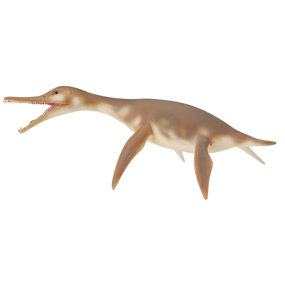 CollectA Dolichorhynchops
