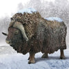 CollectA Musk Ox