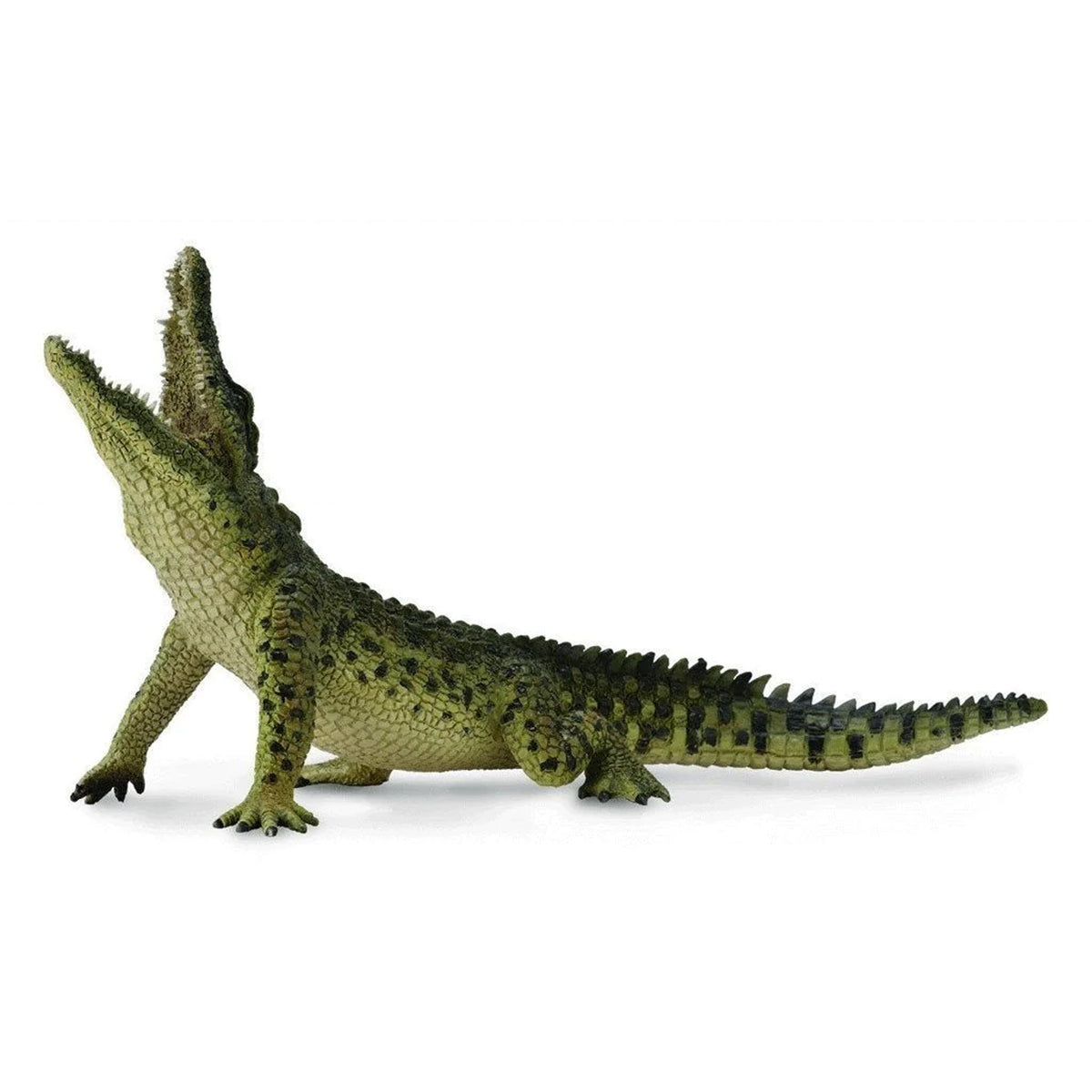 Collecta Nile Crocodile Leaping - Movable Jaw – Animal Kingdoms Toy Store