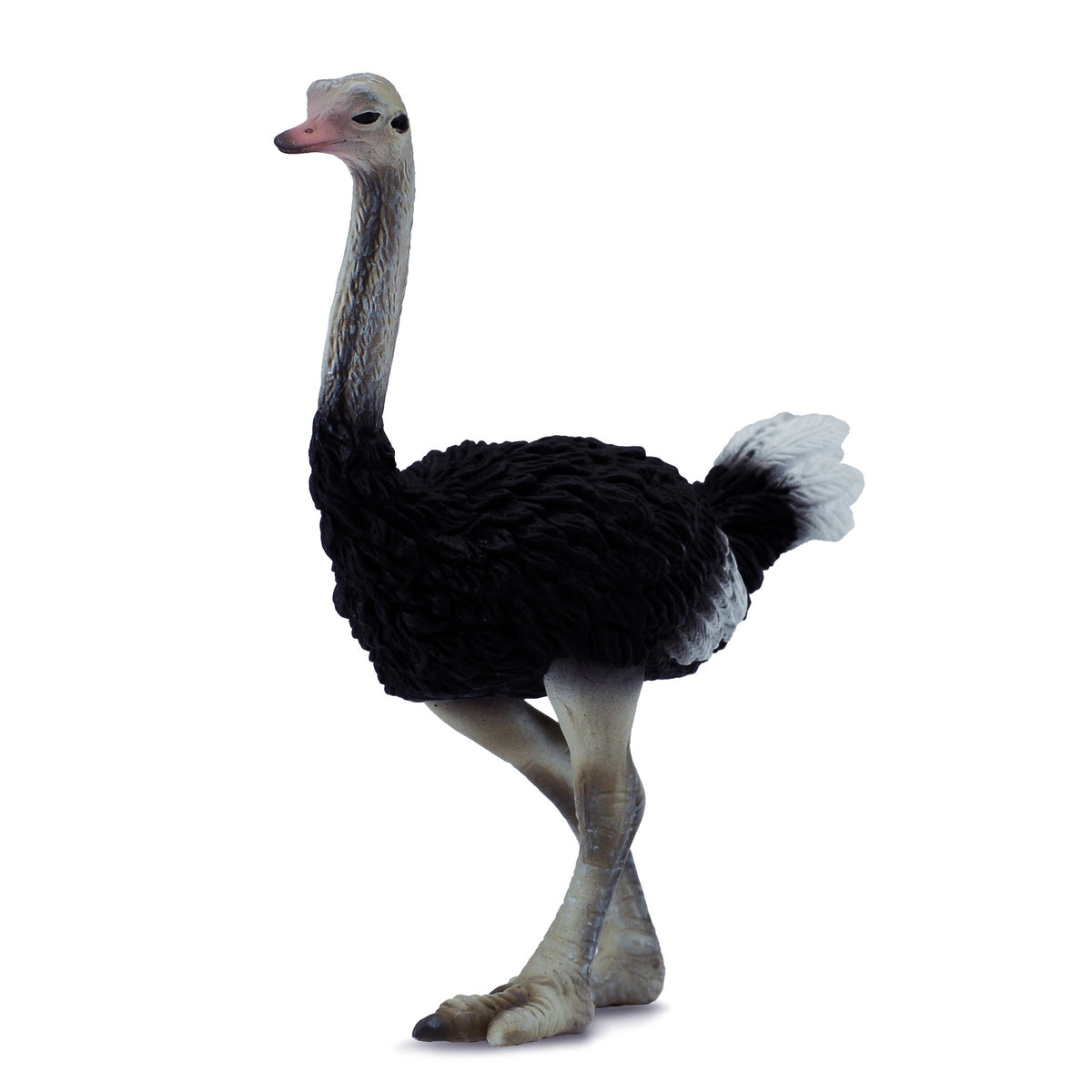 CollectA Ostrich