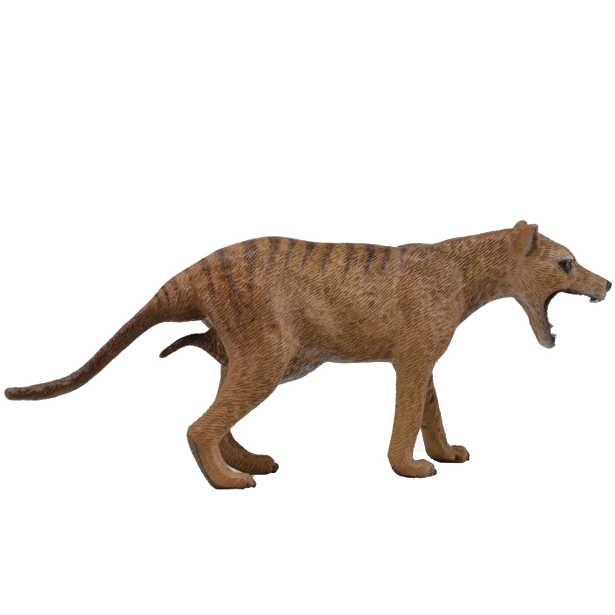 CollectA Thylacine Female Tasmanian Tiger