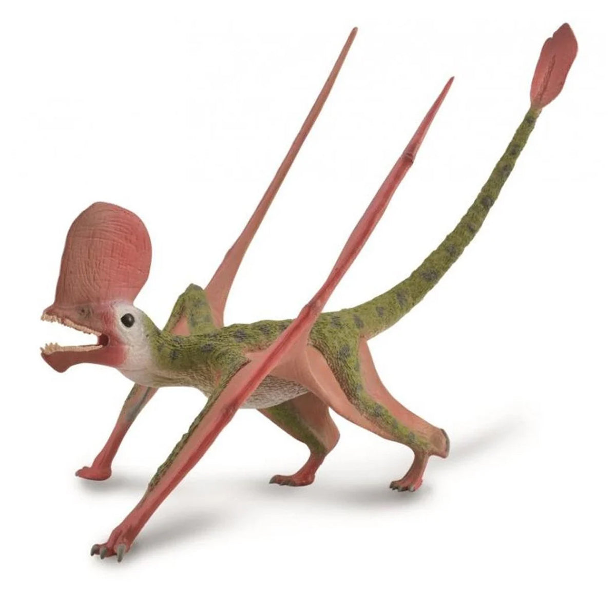 CollectA Caviramus with Movable Jaw 1:2 Scale