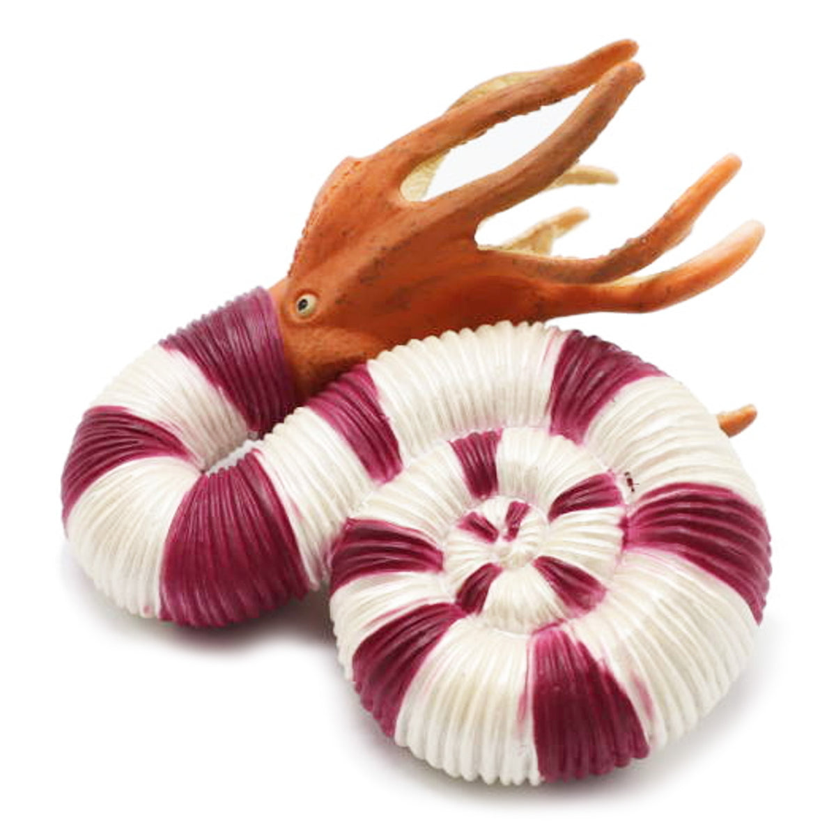 CollectA Pravitoceras