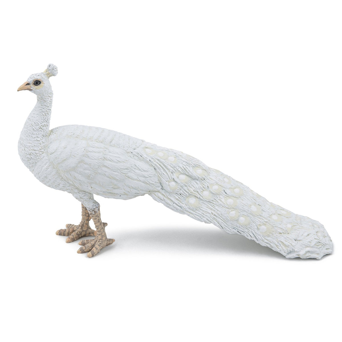 Papo White Peacock