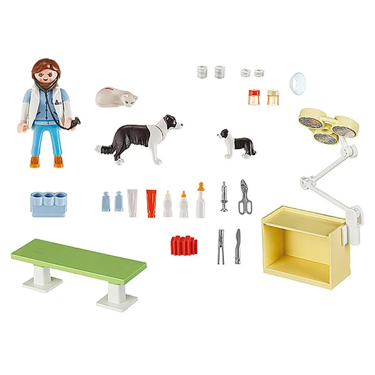 Playmobil Vet Visit Carry Case