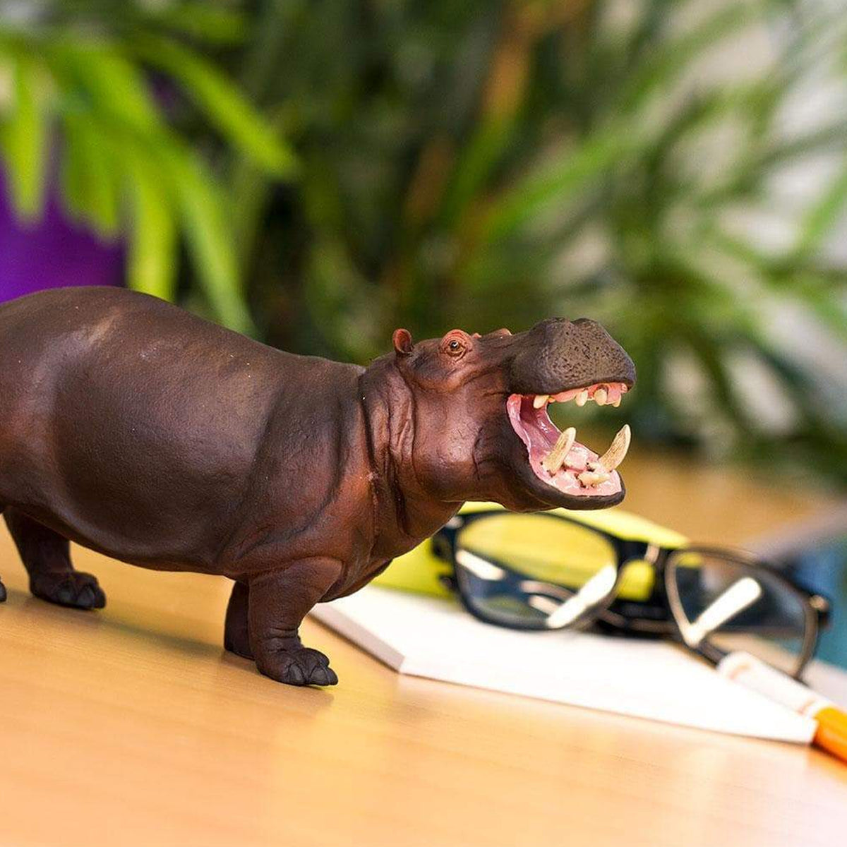 Safari Ltd Hippopotamus XL