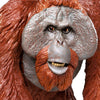 Safari Ltd Bornean Orangutan XL