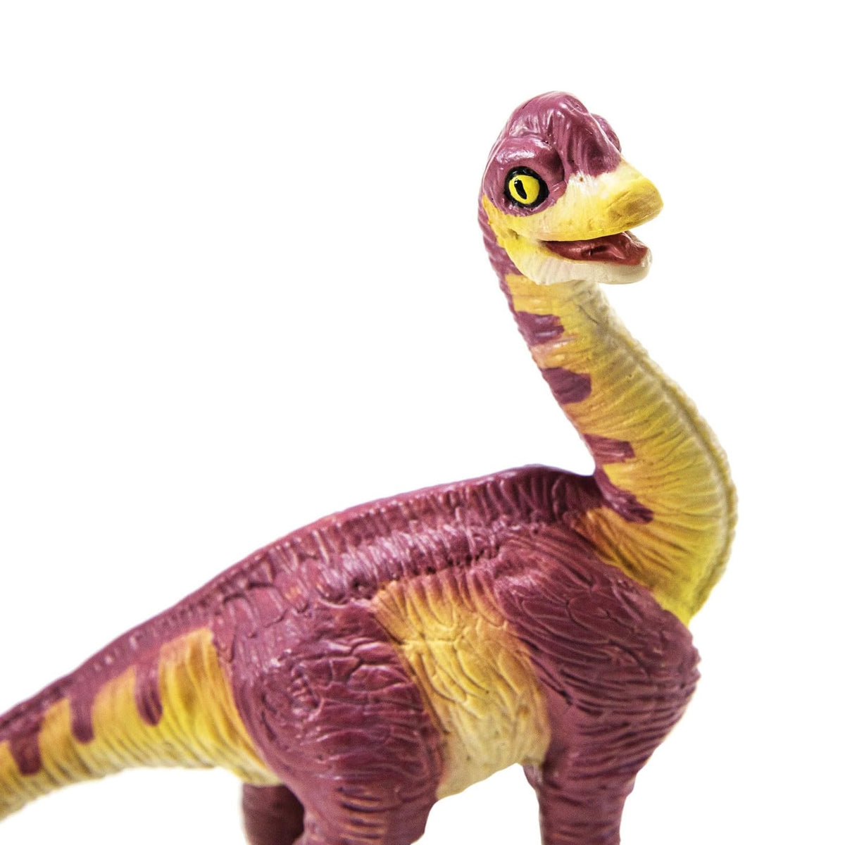 Safari Ltd Brachiosaurus Baby