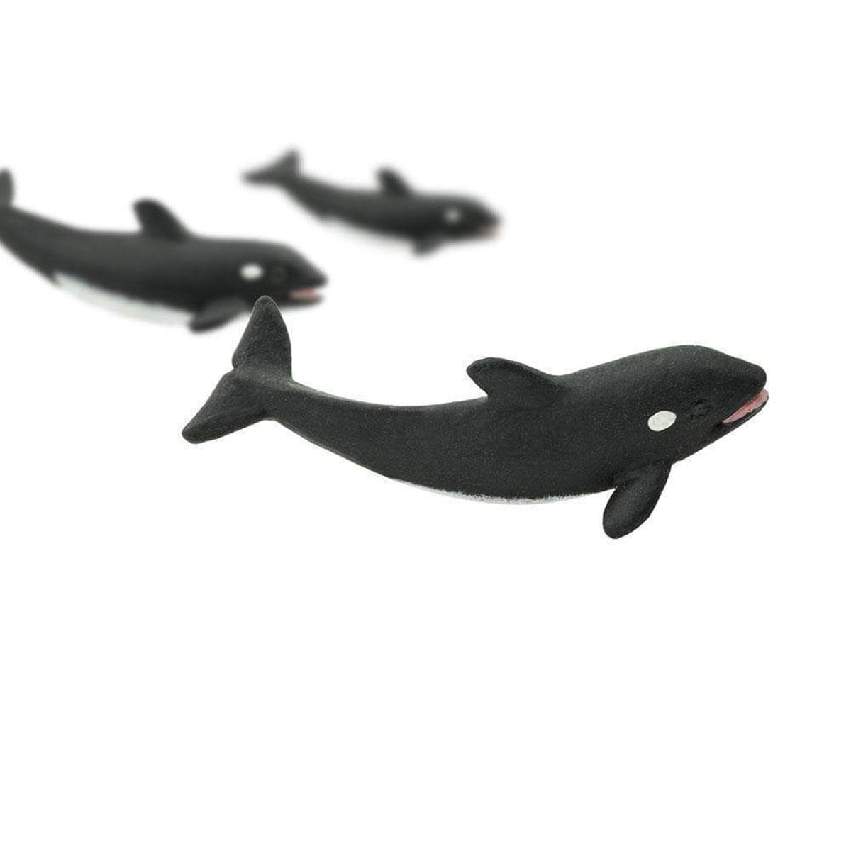 Safari Ltd Good Luck Mini Orca Whale