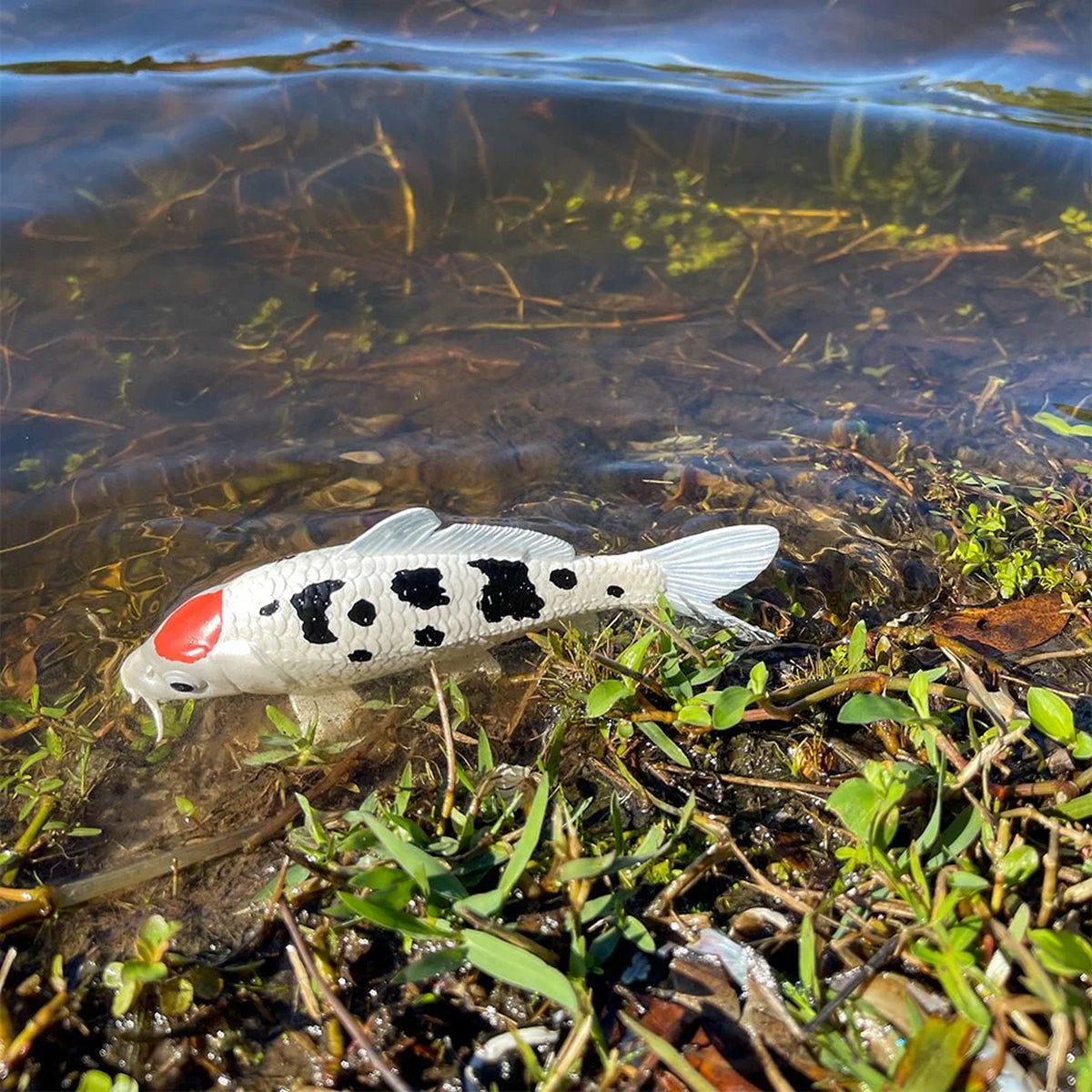 Safari Ltd Koi Fish Tancho XL