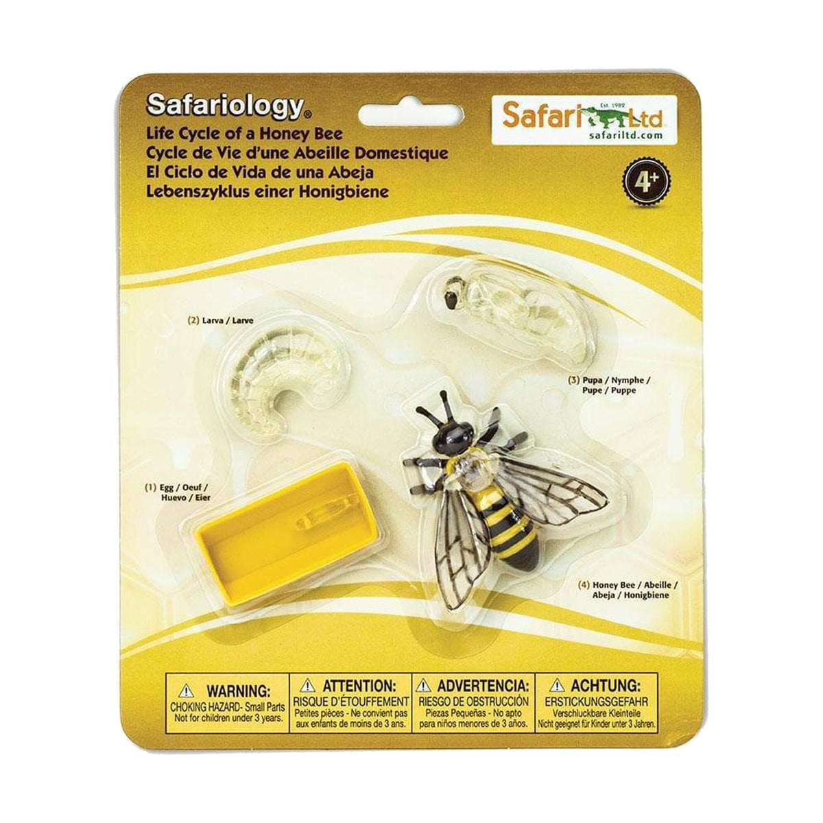 Safari Ltd Life Cycle of a Honey Bee
