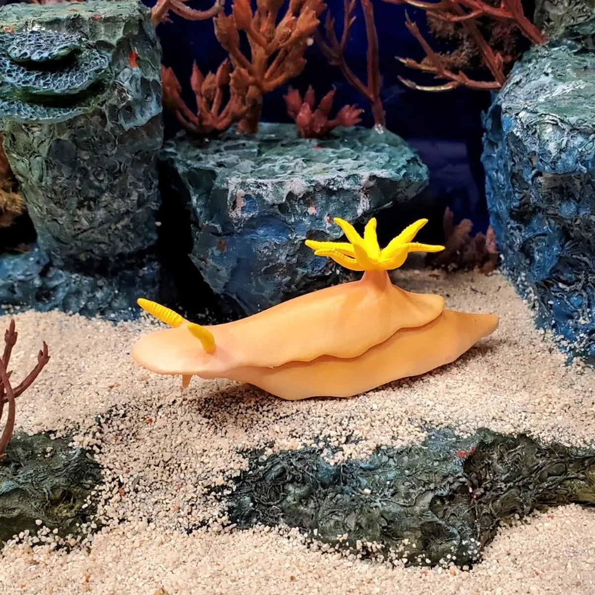 Safari Ltd Nudibranch XL