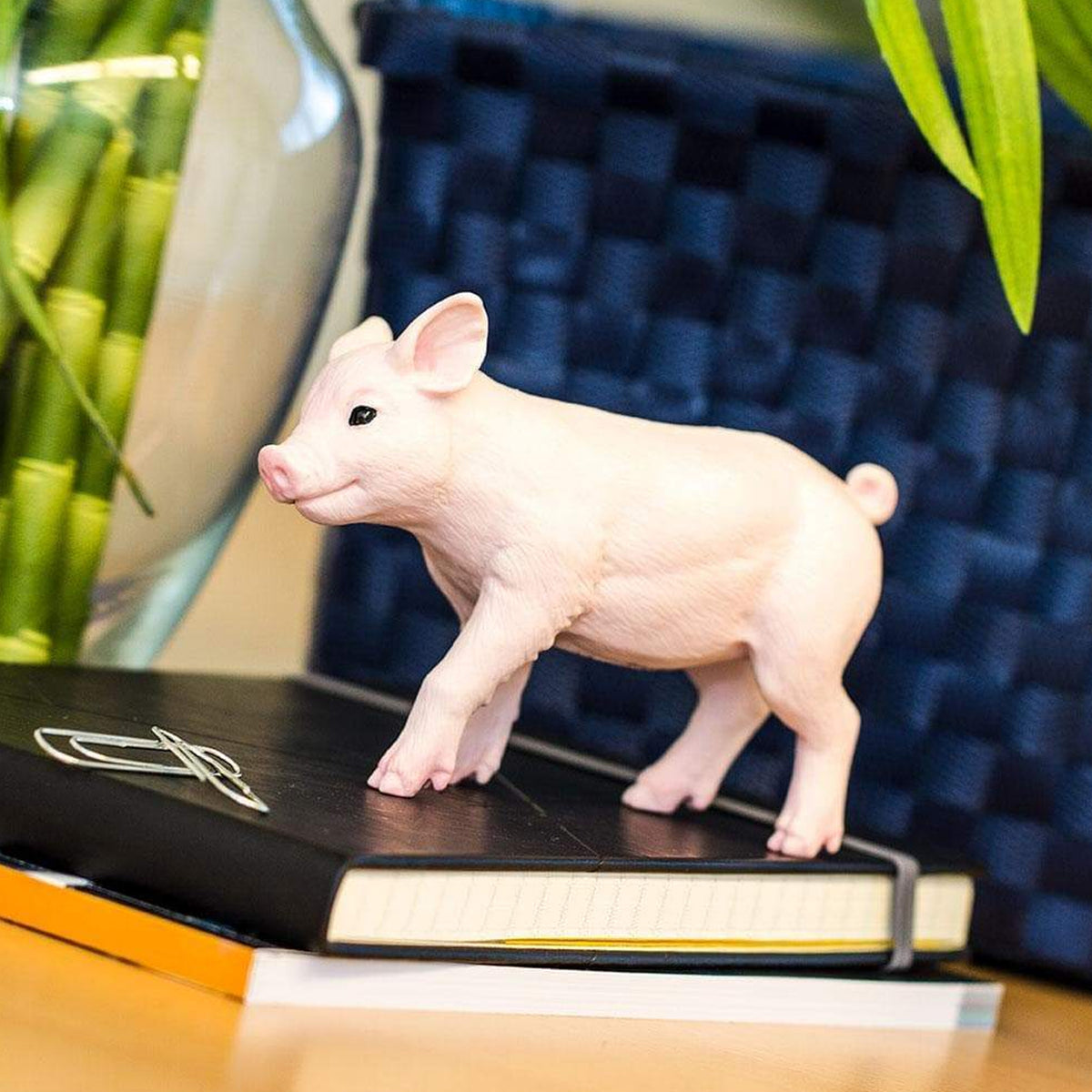 Safari Ltd Piglet XL