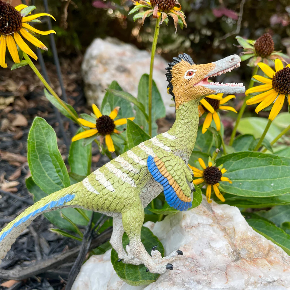 Safari Ltd Austroraptor