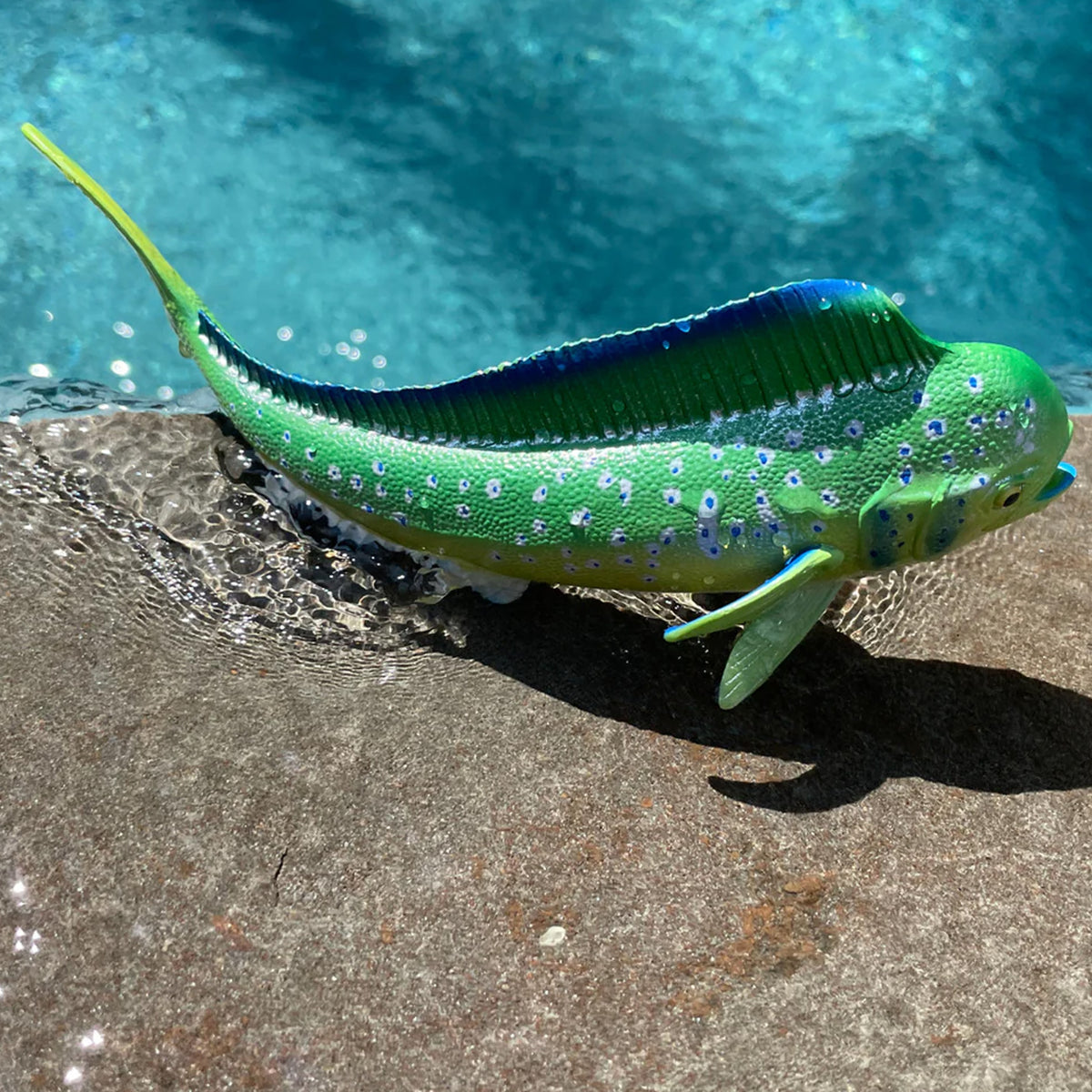 Safari Ltd Mahi-Mahi XL