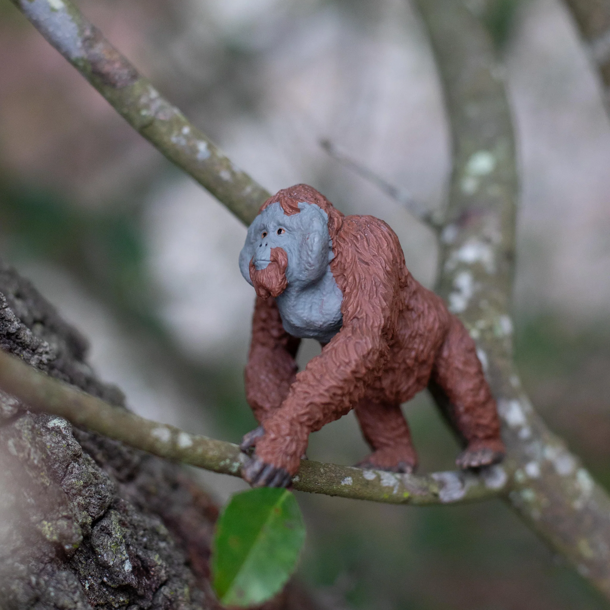Safari Ltd Male Orangutan