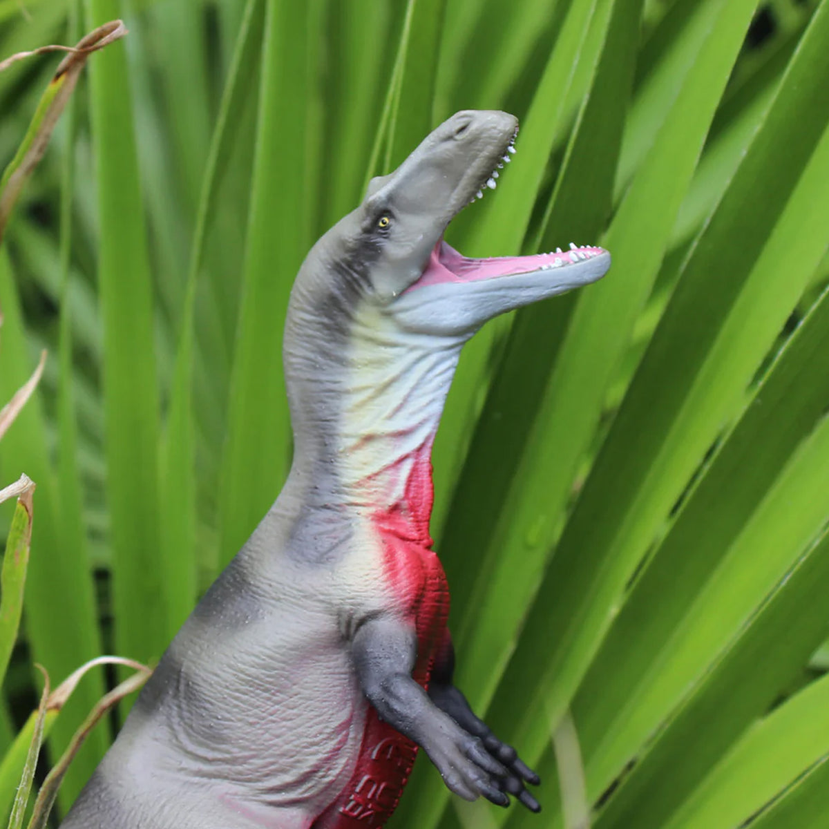 Safari Ltd Megalosaurus