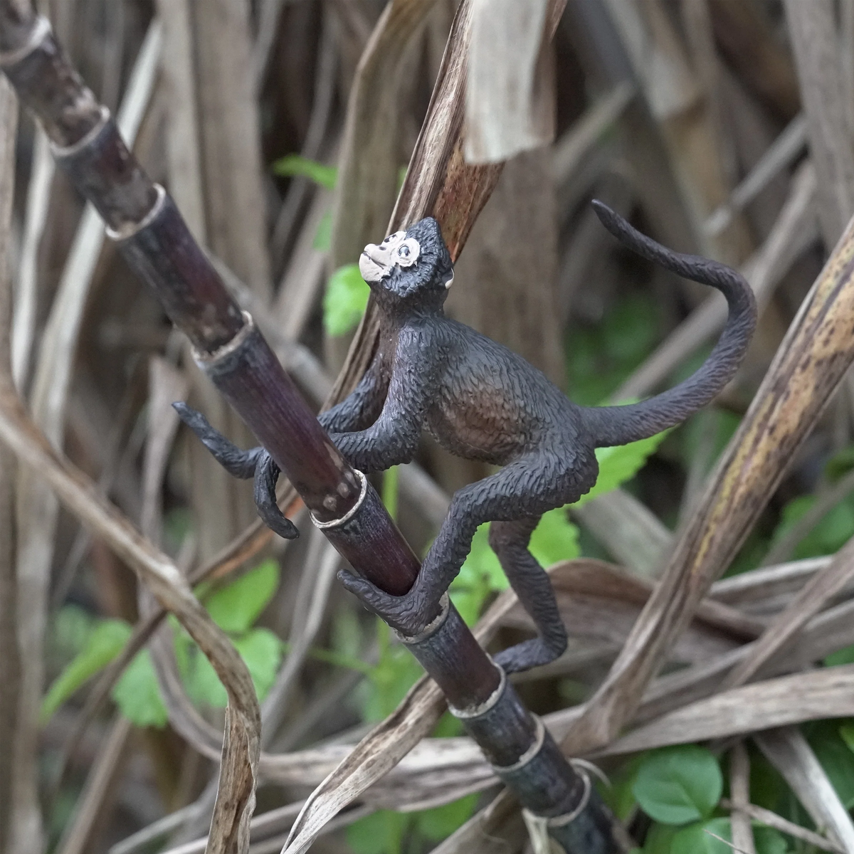 Safari Ltd Spider Monkey