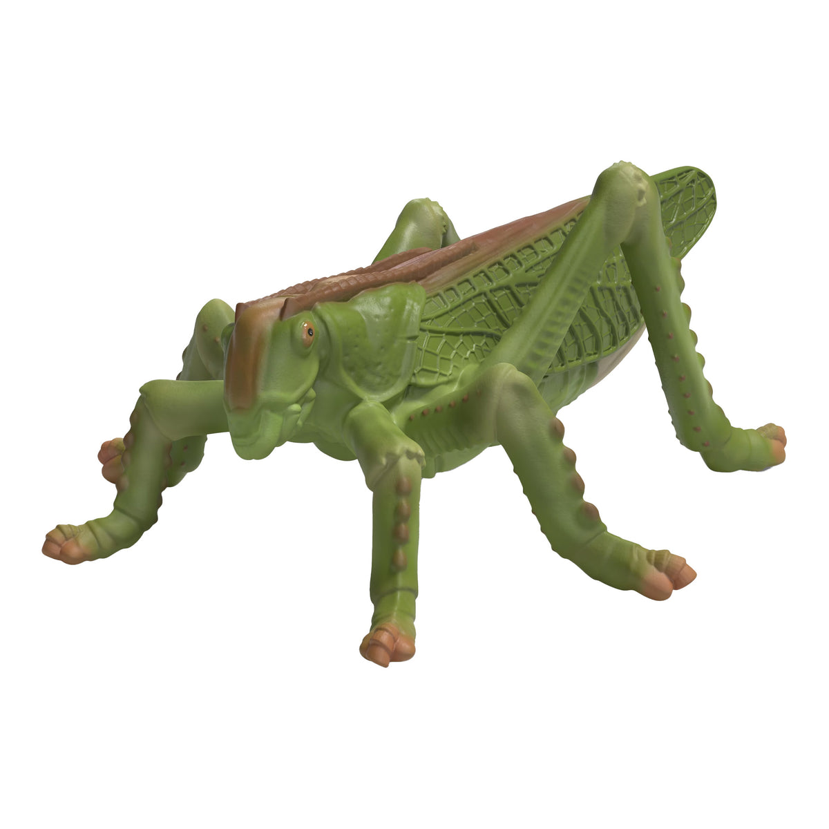 Schleich Insects Discovery Set