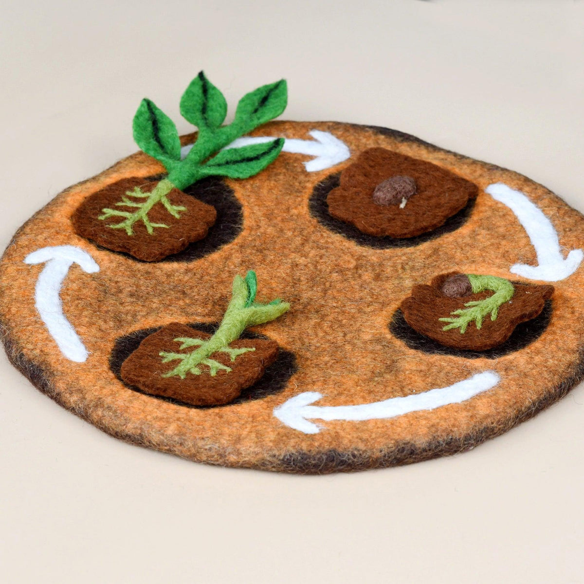 Tara Treasures: Felt Lifecycle of a Bean Plant