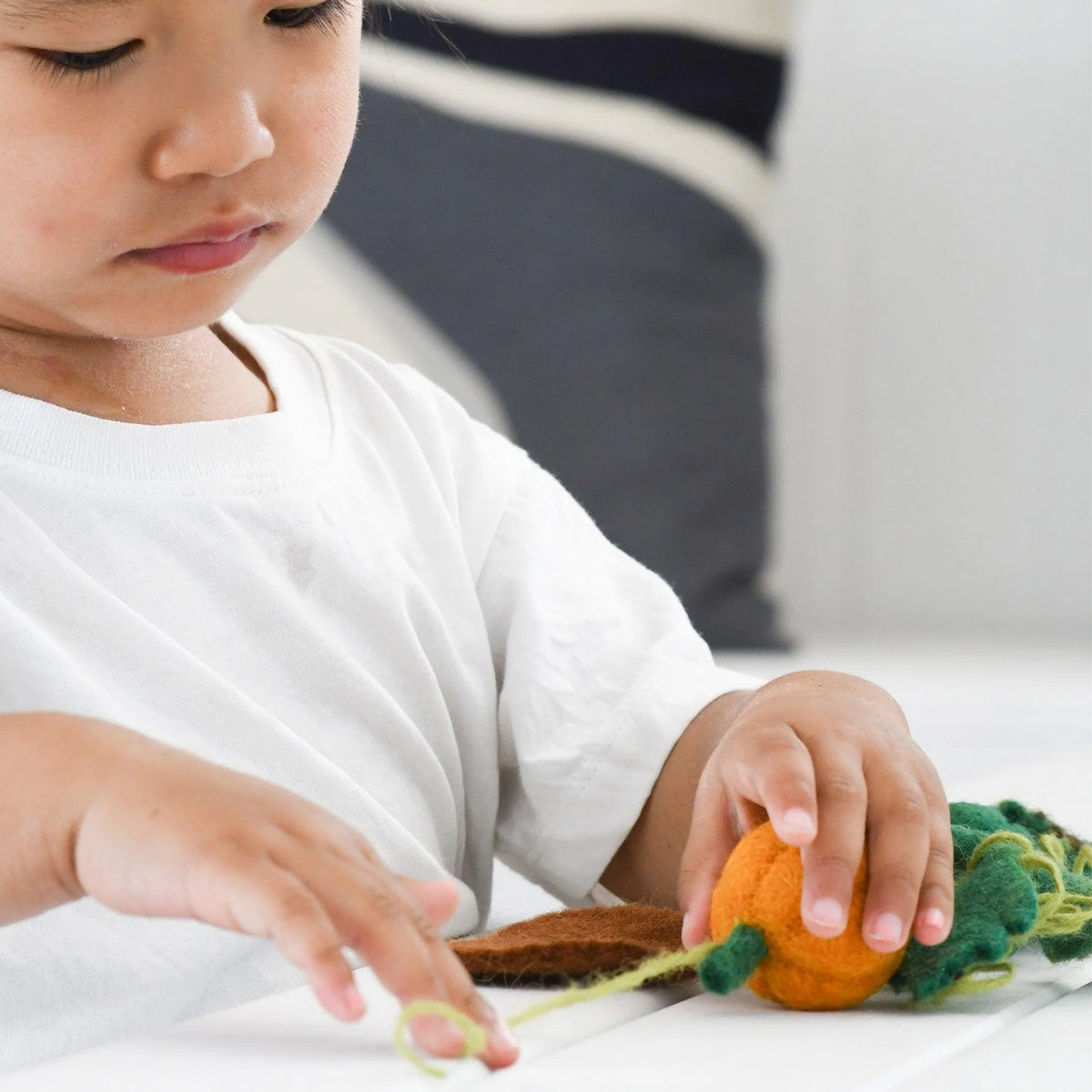 Tara Treasures: Felt Lifecycle of a Pumpkin