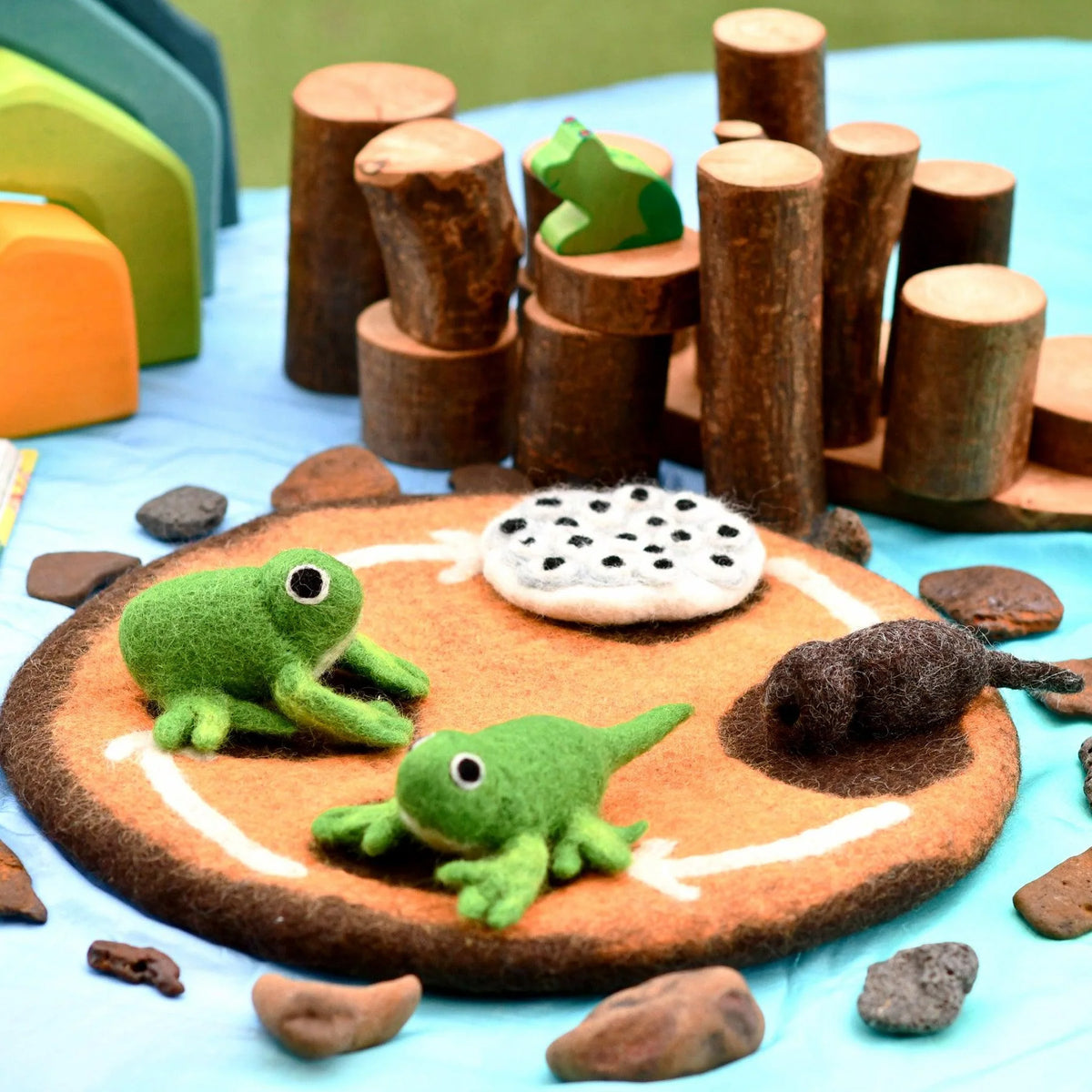 Tara Treasures: Felt Lifecycle of a Frog