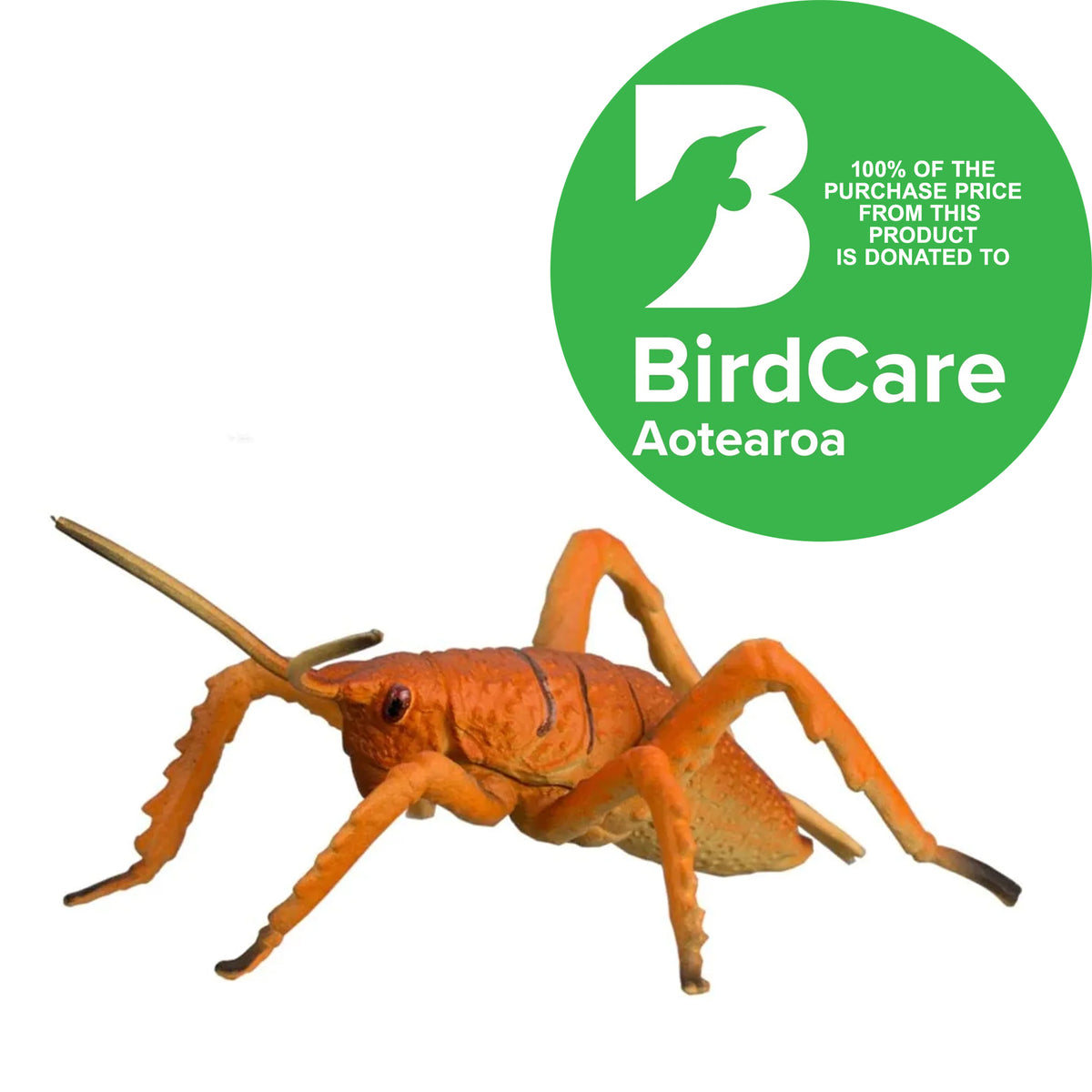 New Zealand Native Collection 6 Pack