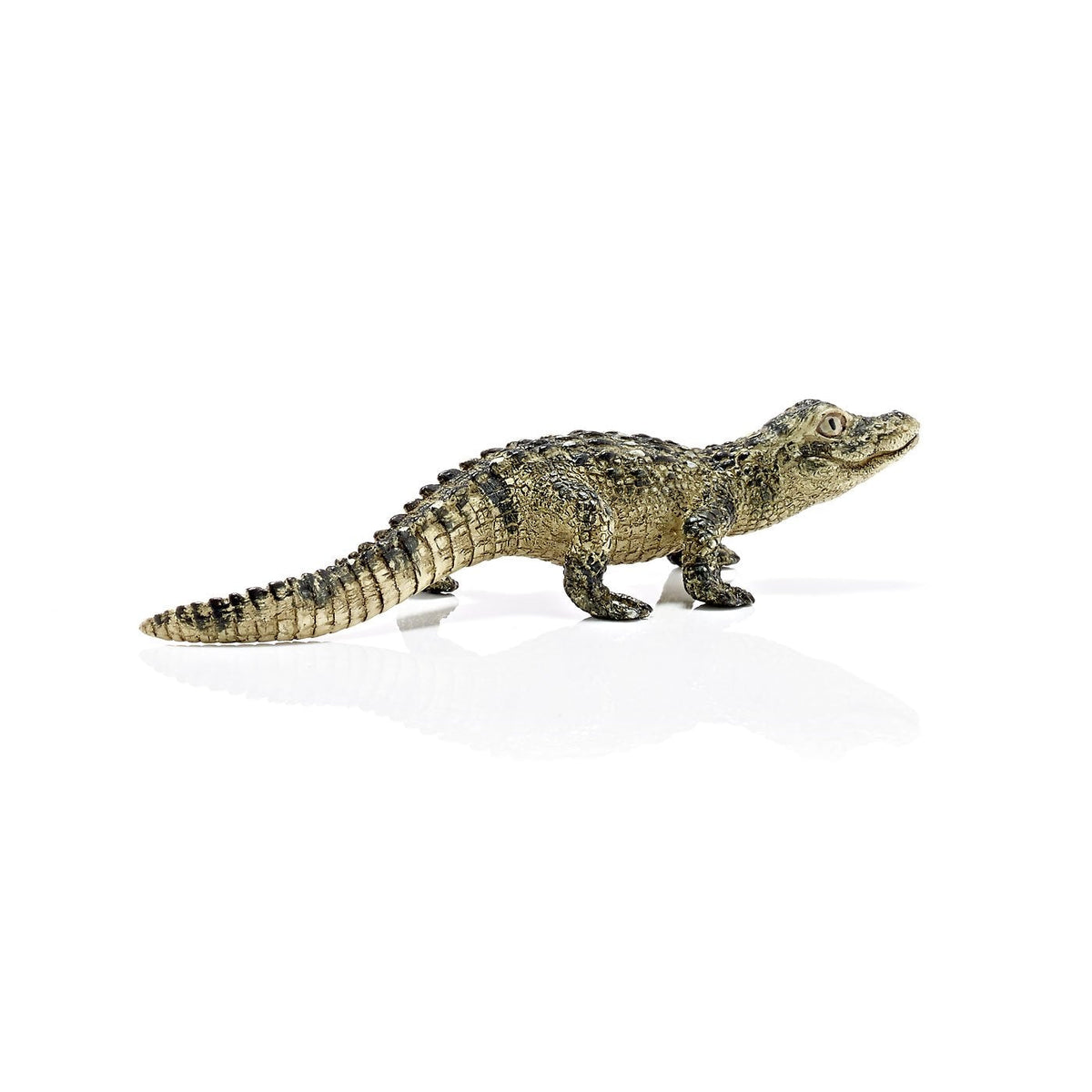 Schleich Baby Alligator-14728-Animal Kingdoms Toy Store