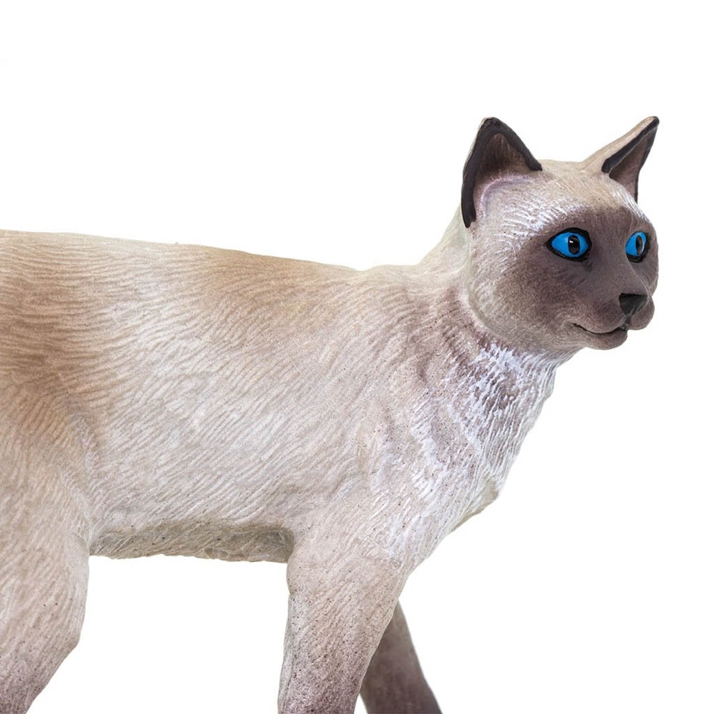 Safari Ltd Siamese-SAF100061-Animal Kingdoms Toy Store