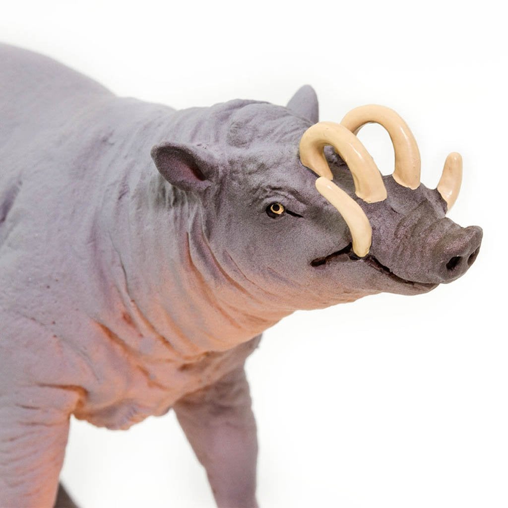 Safari Ltd Babirusa-SAF100102-Animal Kingdoms Toy Store
