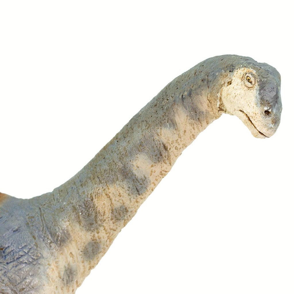 Safari Ltd Camarasaurus-SAF100309-Animal Kingdoms Toy Store