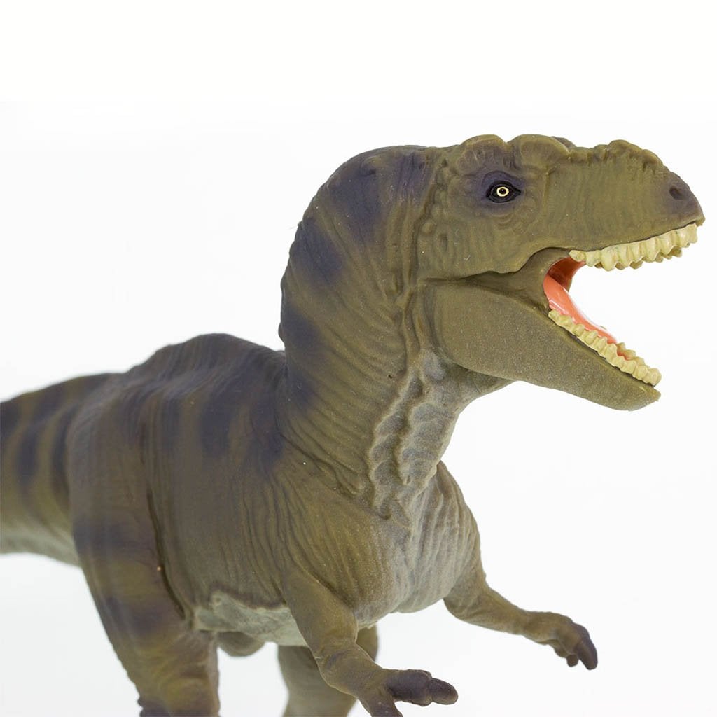 Safari Ltd Tyrannosaurus Rex-SAF100423-Animal Kingdoms Toy Store
