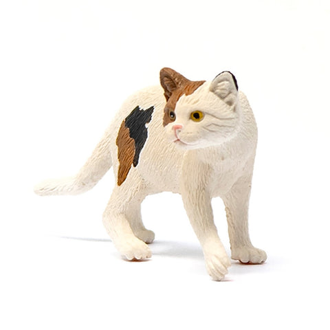 Schleich American Short hair Cat-13894-Animal Kingdoms Toy Store