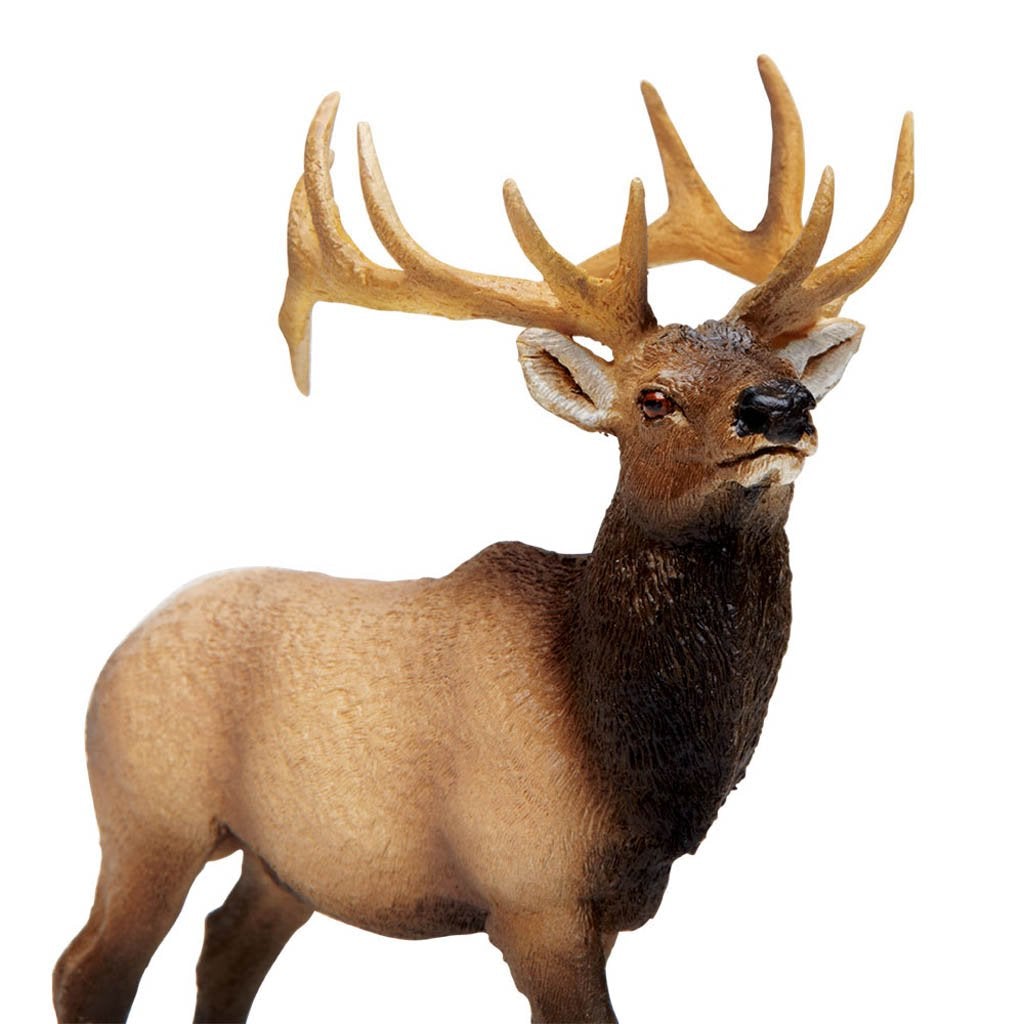Safari Ltd Elk Bull-SAF180329-Animal Kingdoms Toy Store