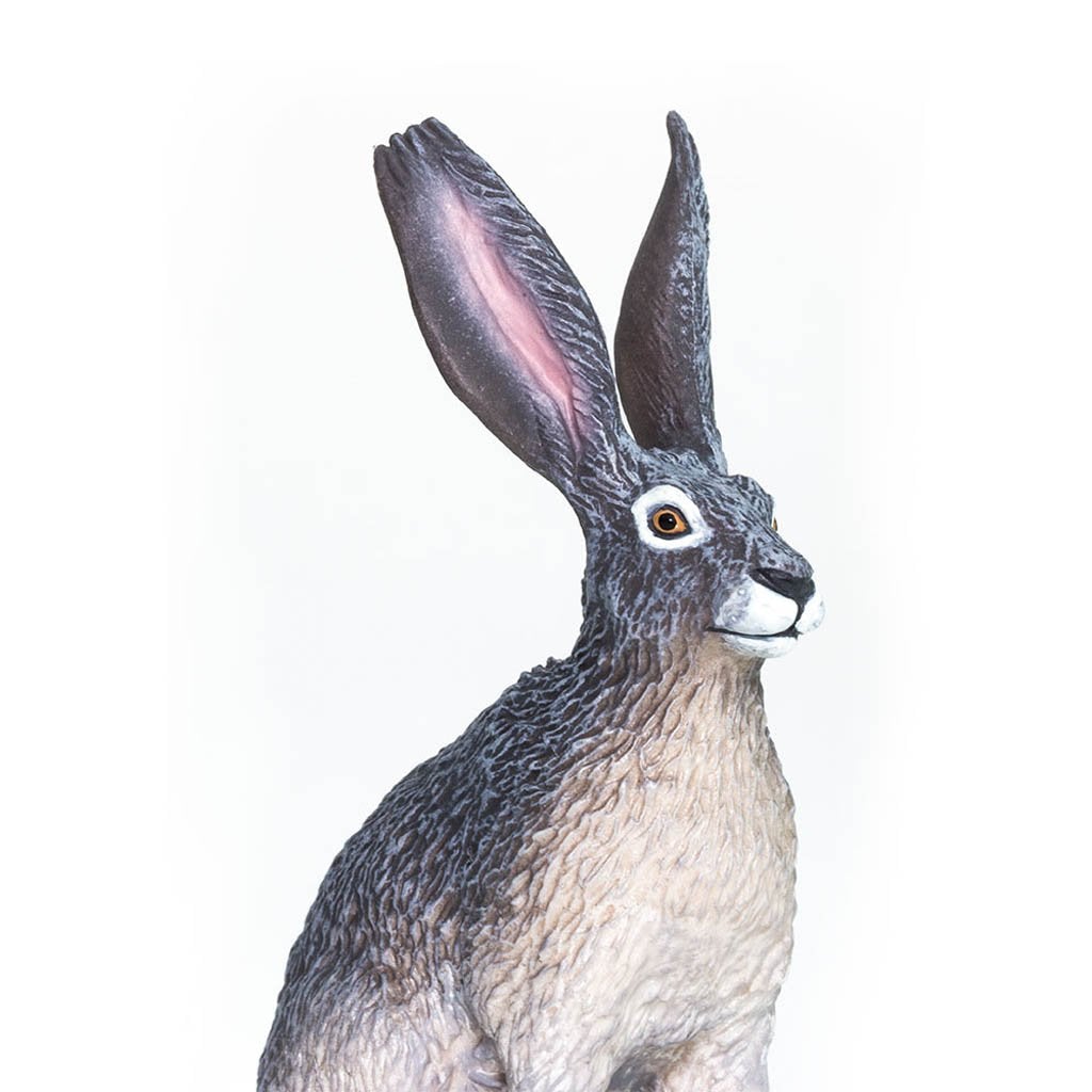 Safari Ltd American Desert Hare-SAF182029-Animal Kingdoms Toy Store