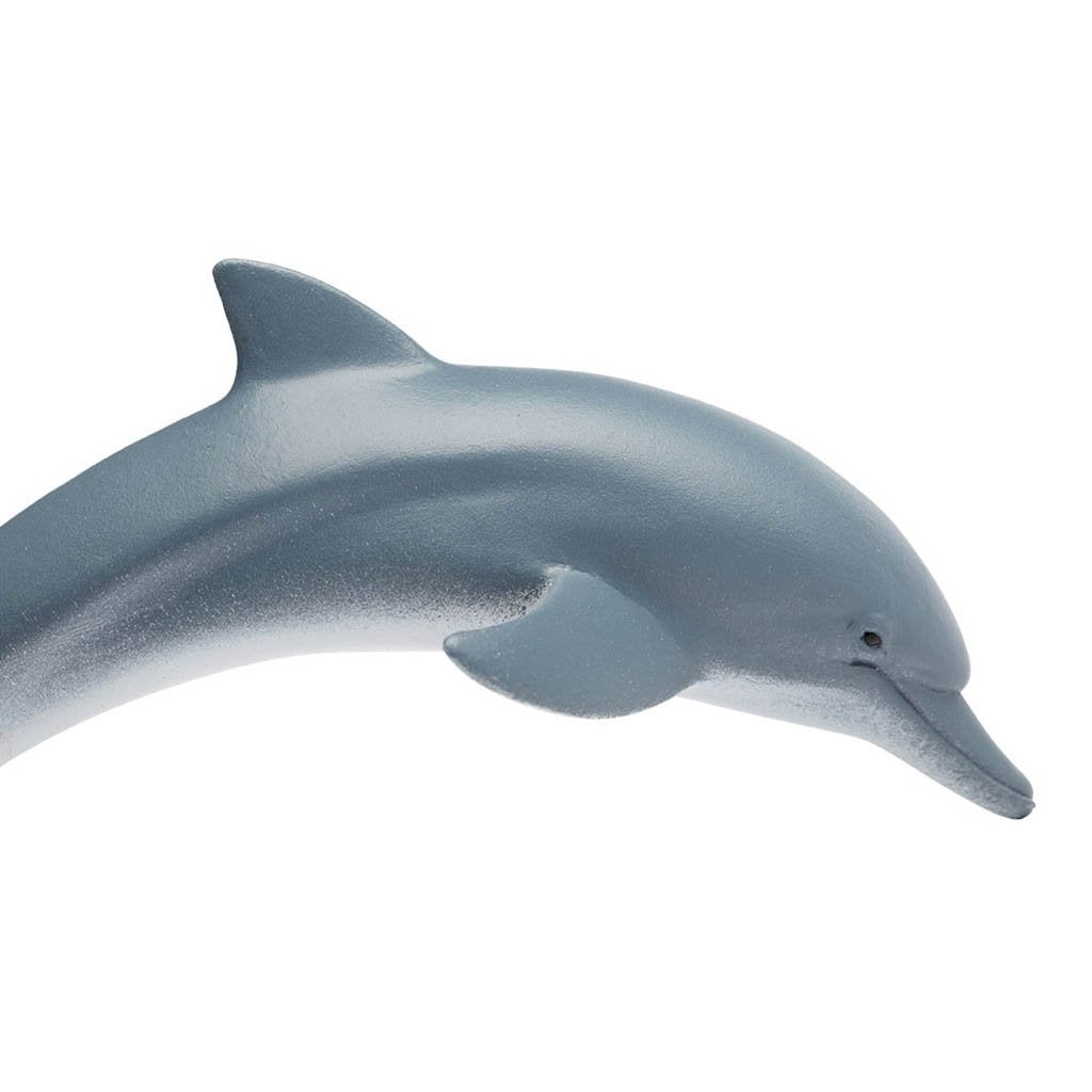 Safari Ltd Dolphin-SAF200129-Animal Kingdoms Toy Store