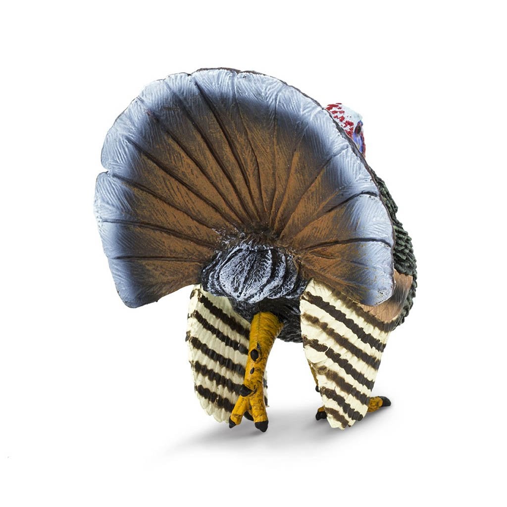 Safari Ltd Turkey-SAF242929-Animal Kingdoms Toy Store