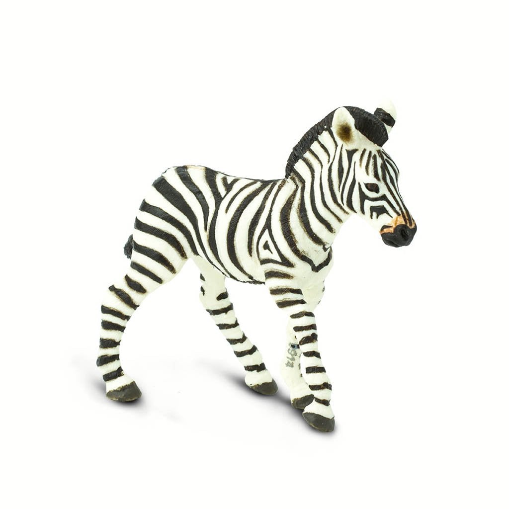 Safari Ltd Zebra Foal-SAF271829-Animal Kingdoms Toy Store