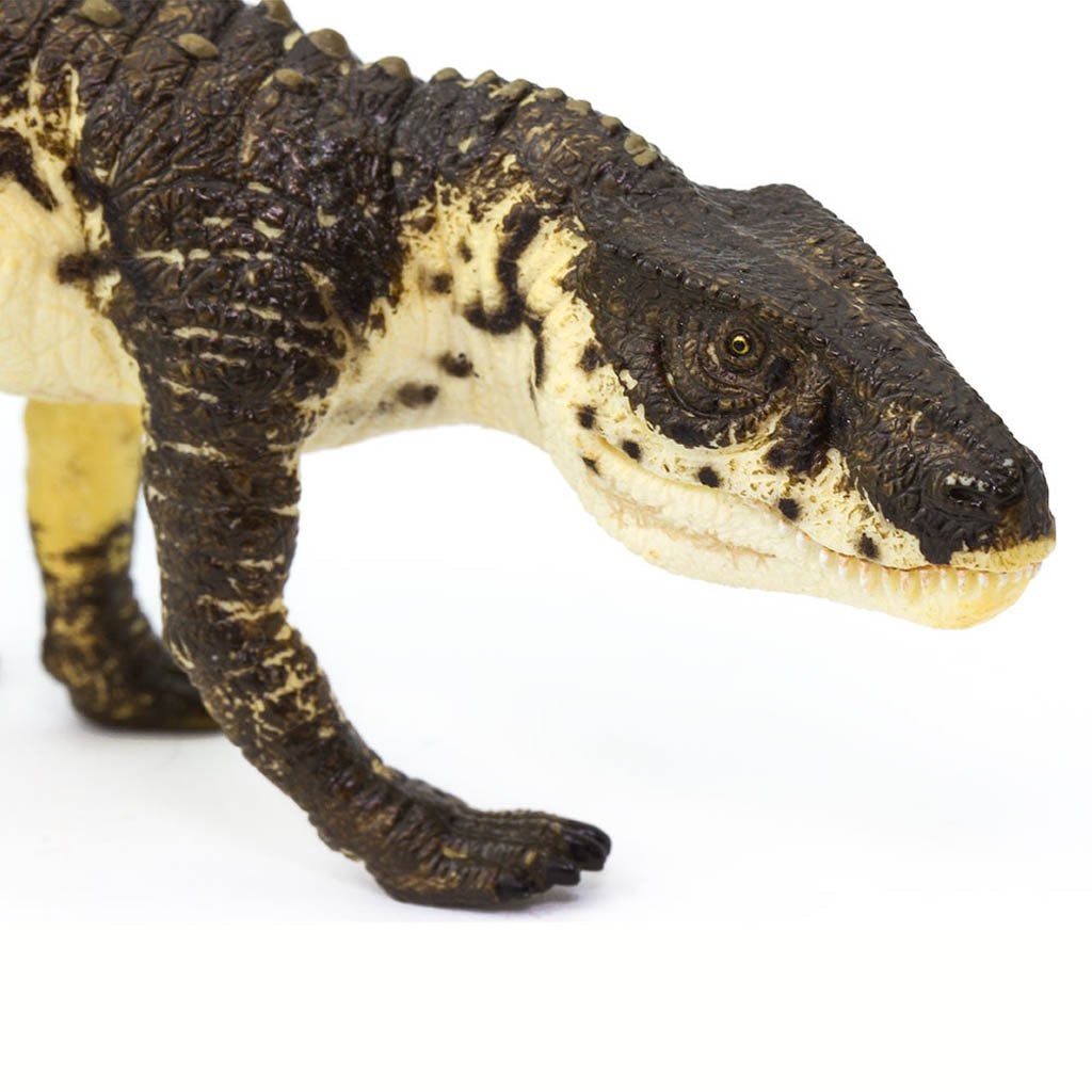 Safari Ltd Postosuchus-SAF287329-Animal Kingdoms Toy Store