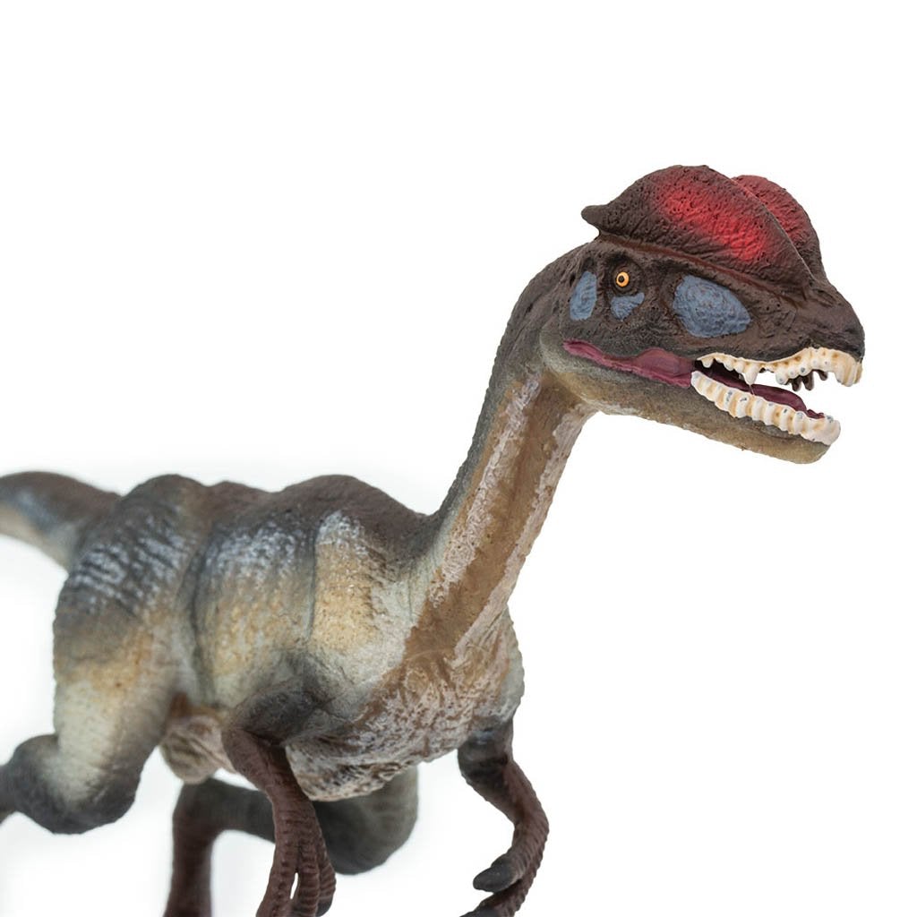 Safari Ltd Dilophosaurus-SAF287829-Animal Kingdoms Toy Store