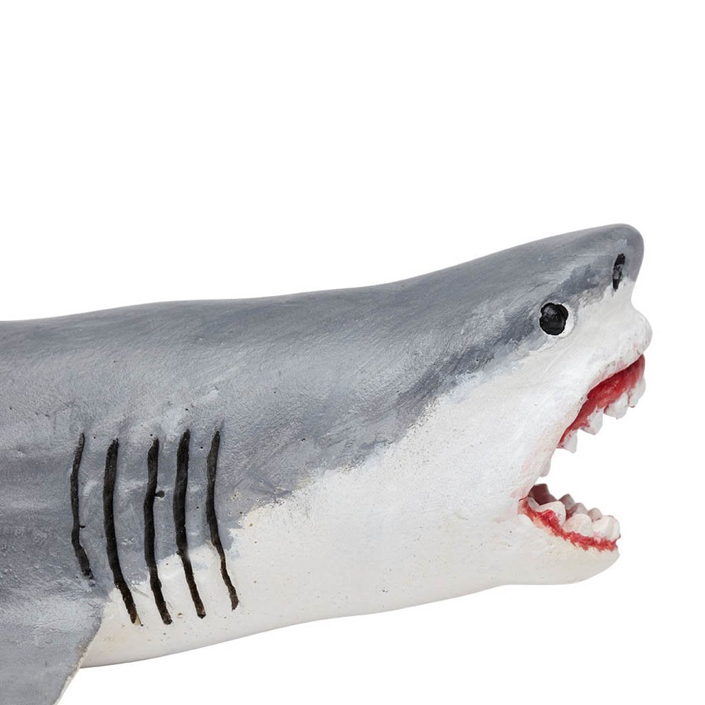 Safari Ltd Megalodon-SAF303329-Animal Kingdoms Toy Store