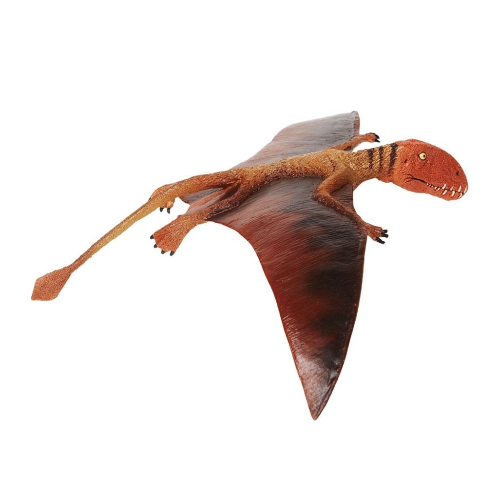 Safari Ltd Dimorphodon-SAF304729-Animal Kingdoms Toy Store
