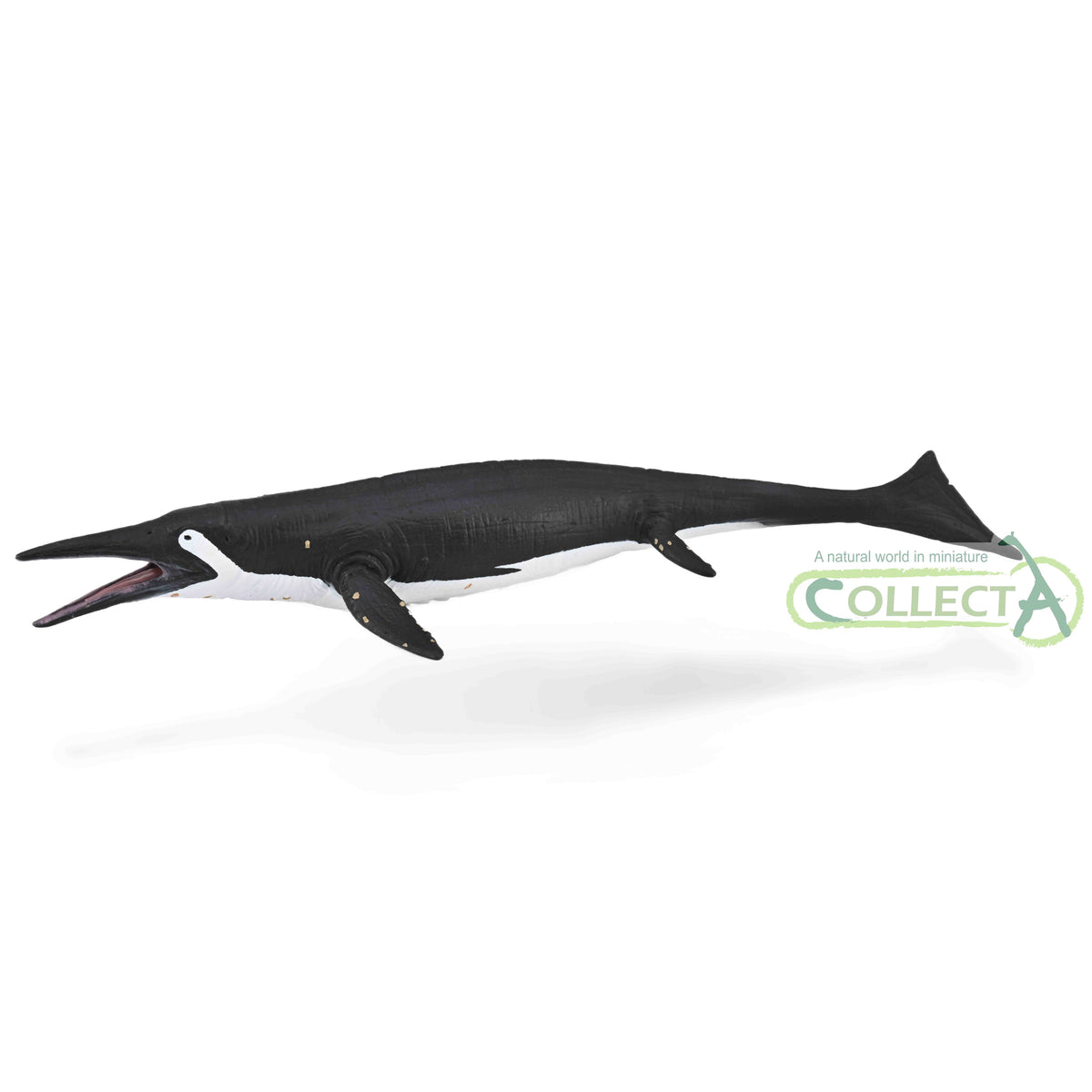 CollectA Shastasaurus