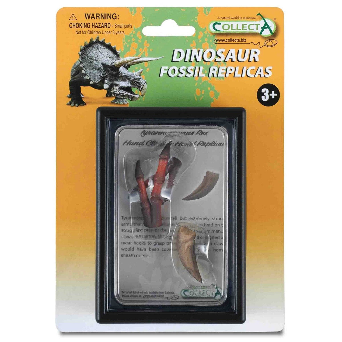 CollectA Claw & Hand of T-Rex-89289-Animal Kingdoms Toy Store